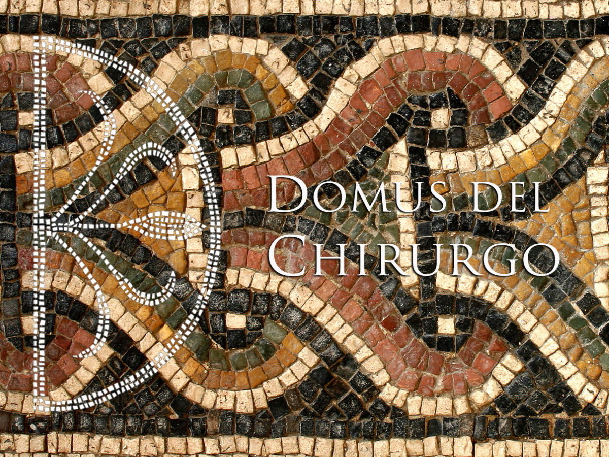 Domus del Chiurugo Rimini